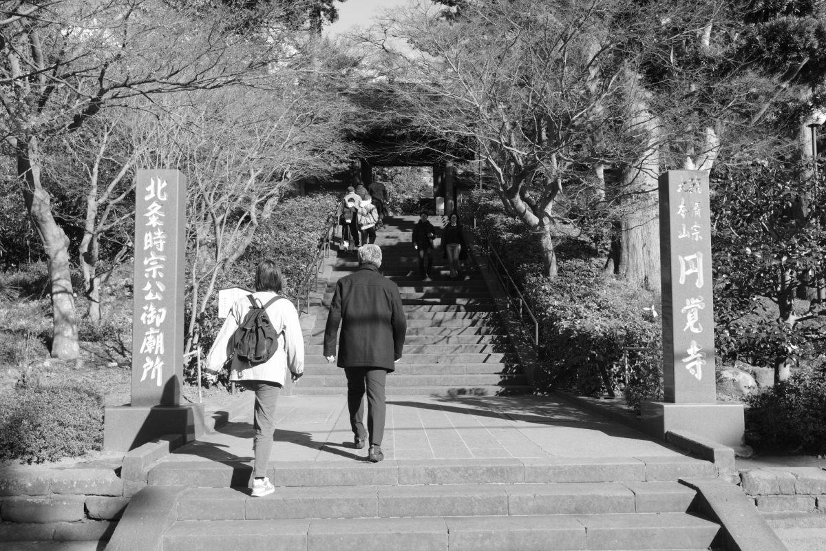 【モノクロ】紅葉終わりの北鎌倉・円覚寺