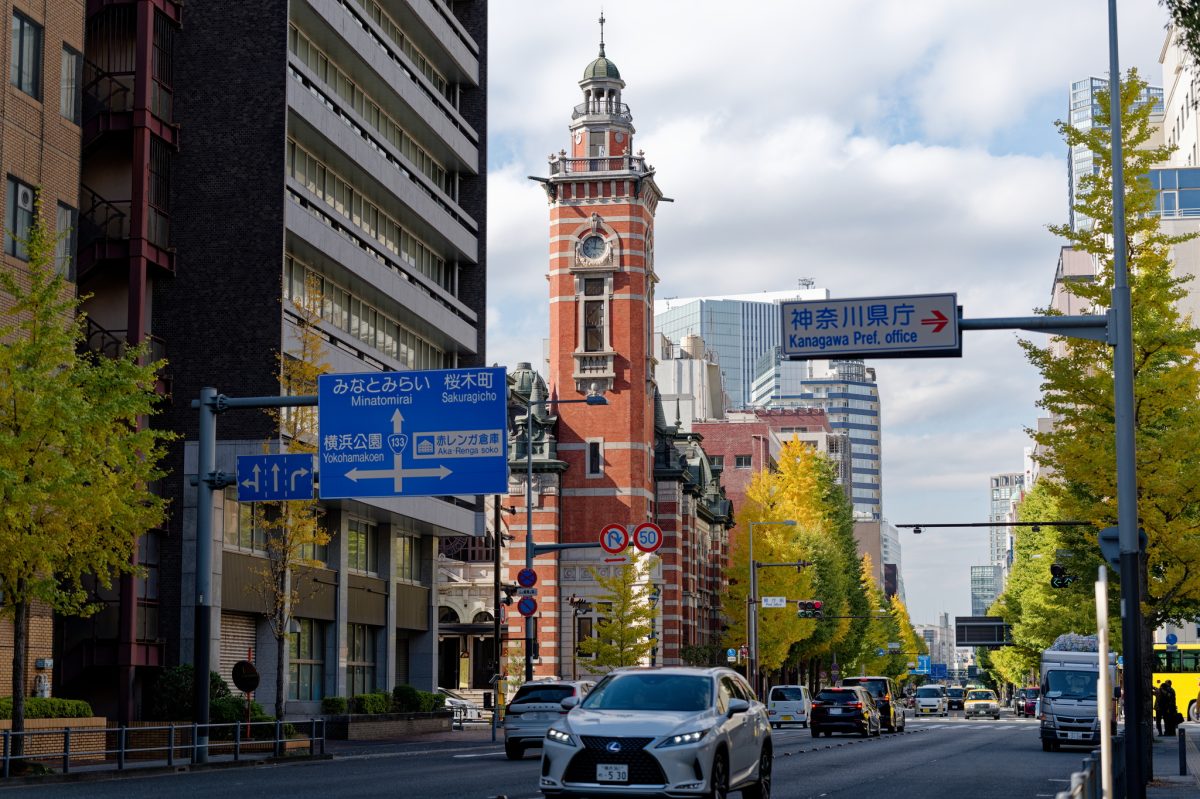 【銀杏】続・日本大通りをちょい散策【様子見】