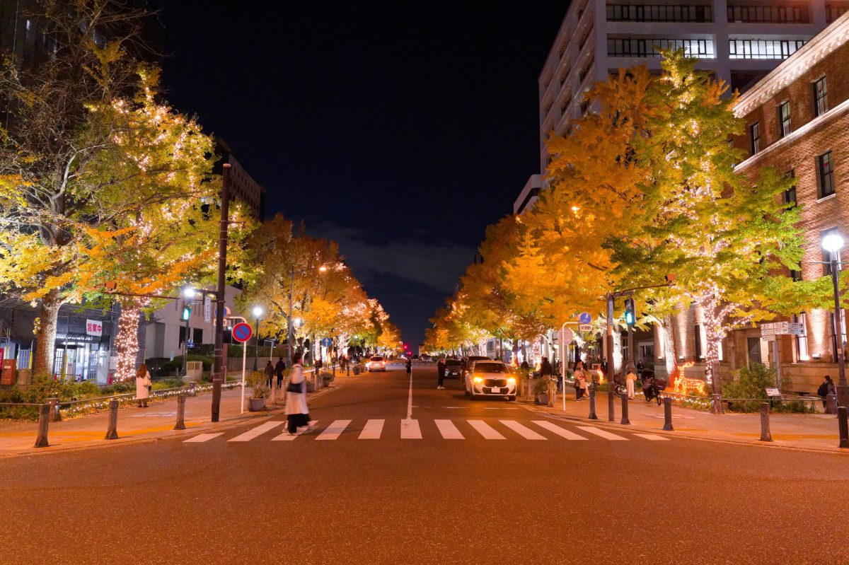 【銀杏】夜の日本大通りをちょい散策【前編】
