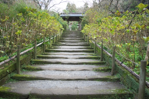 明月院・鎌倉石の階段(秋)