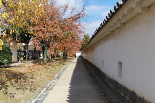 西の丸の東側の壁面。少し西側にため池みたいなのがあって、天守を鏡移しに出来るとかなんとか。