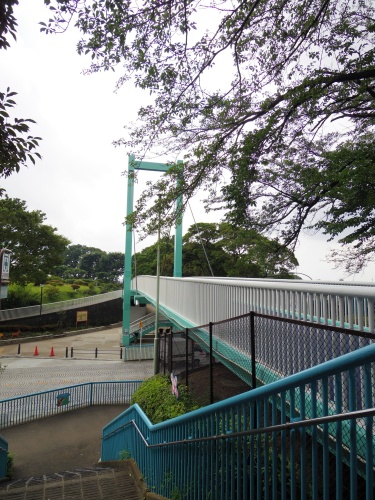 入口手前にある吊り橋(写真奥は公園)。これは昔のままっぽい。
